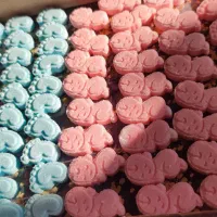 قند و نبات رنگی|خوردنی و آشامیدنی|مرودشت, فاز دوم شهرک فرهنگیان|دیوار