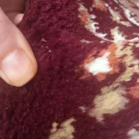 کناره فرش|فرش|کرمانشاه, |دیوار