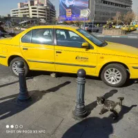 سمند تاکسی|خودرو سواری و وانت|تهران, جوادیه|دیوار