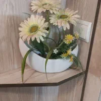 گلدان شیک و زیبا|گل مصنوعی|تبریز, |دیوار