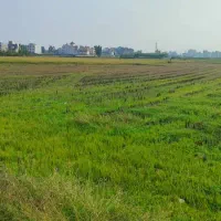 زمین کشاورزی