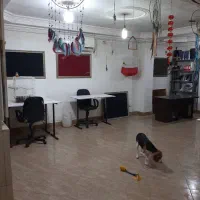اجاره دفتر کار،انبار،کارگاه،طلا سازی|اجارهٔ دفتر کار، اتاق اداری، مطب|تهران, سنگلج (شاپور)|دیوار