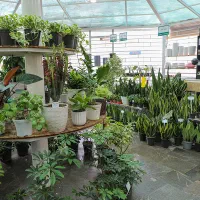 جذب نیرو در کافی‌شاپ و گلخانه|استخدام خدمات فروشگاه و رستوران|مشهد, حجاب (شهرک غرب)|دیوار