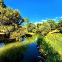 زمین های باغی در روستا گاوگدار اراک