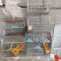 قفس سهره جهت معاوضه