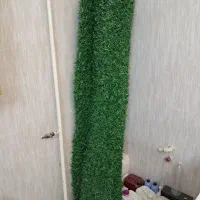 فنس چمن کاملا نو