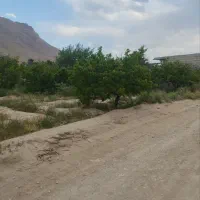فروش-باغ-در-قلیان-فروش