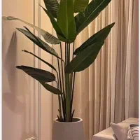 هدیه روز مادر لوستر و گل کنارسالنی زیرقیمت بازار|لوستر و چراغ آویز|یزد, |دیوار