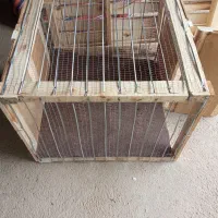 قفس|لوازم جانبی حیوانات|گنبد کاووس, |دیوار