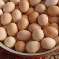 تخم مرغ محلی