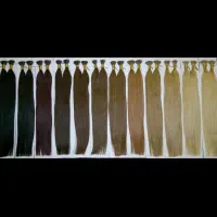 اکستنشن با موی طبیعی ، نصب رایگان کمترین قیمت|آرایشگاه و سالنهای زیبایی|پردیس, فاز ۱۱|دیوار