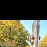 زمین زراعی ارمغانخانه