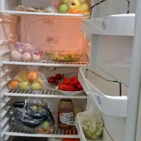 یخچال فریزرهیمالیا|یخچال و فریزر|هشتگرد, فاز ۷ مهستان|دیوار