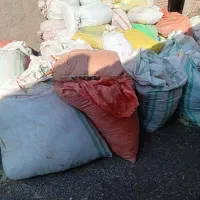 اذوغ گوسفند