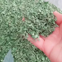 آویشن کهلیح اوتی