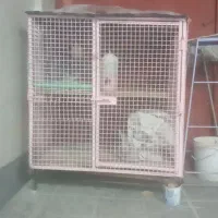 قفس کبوتر