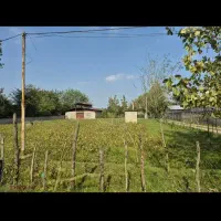 زمین مسکونی سند دار در ماسال