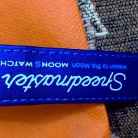 ساعت امگاه اصل|ساعت|پاکدشت, حصار امیر|دیوار