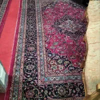 فرش دستبافت کاشان|فرش|میانه, |دیوار