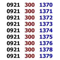 0921.300.1370