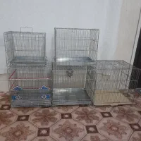 قفس سهره قناری