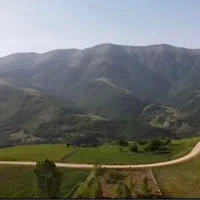 فروش مزرعه وتاسیسات دامپروری درمنطقه ۴دانگه ساری|فروش دفتر صنعتی، کشاورزی، تجاری|کیاسر, |دیوار