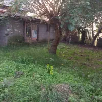 فروش ویلا ۱۰۰۰متری برجاده آسفالت|فروش خانه و ویلا|رشت, پیرکلاچای|دیوار