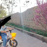 سه چرخه|دوچرخه، اسکیت، اسکوتر|نهاوند, |دیوار