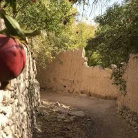 باغ خوش آب و هوای تفت