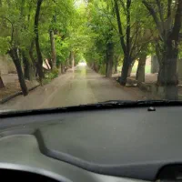 زمین-500-متری-اوایل-خیابان-درختی-اصفهانک