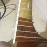 تار ۳مهر ویژه استادجلیلوند|سازهای سنتی|ایلام, |دیوار