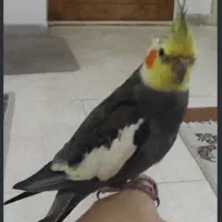 2700