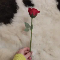 فروش پادری پشمی و‌چرمی اصل