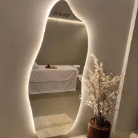 آینه بک لایت