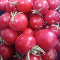 تابلو ال ای دی