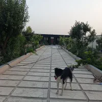 باغ ویلا دهشاد پایین شهریار|فروش خانه و ویلا|صباشهر, |دیوار