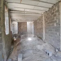 نیروی کار جوان