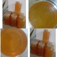 فروش عسل کنار با کیفیت