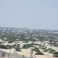 فروش ۵۰۰متر زمین