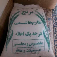 برنج طارم هاشمی اعلا