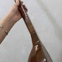 سه تار|سازهای سنتی|مشهد, رده|دیوار