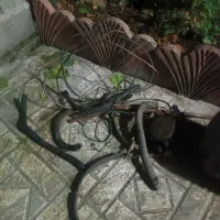 کپسول lpg بزرگ|قطعات یدکی و لوازم جانبی|آستانه اشرفیه, |دیوار