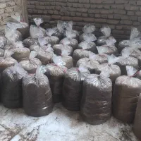 تفاله جو پخته شده