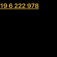 0919 6 222 978