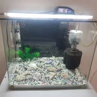 آکواریوم شیشه خم با کلیه لوازم
