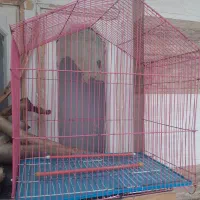 قفس|لوازم جانبی حیوانات|اهواز, آسیاباد|دیوار