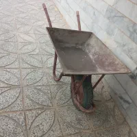 فرغون