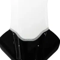 طلق gpکامپوزیت اصلی