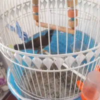 مینا ۲ ماهه و نیمه