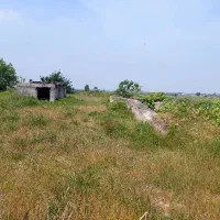 زمین صنعتی بر خیابان اصلی تهاتر دارد|فروش دفتر صنعتی، کشاورزی، تجاری|آمل, |دیوار